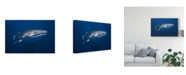 Trademark Global Barathieu Gabriel Whale Shark Canvas Art - 15" x 20"
